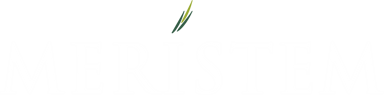 Meristem Logo