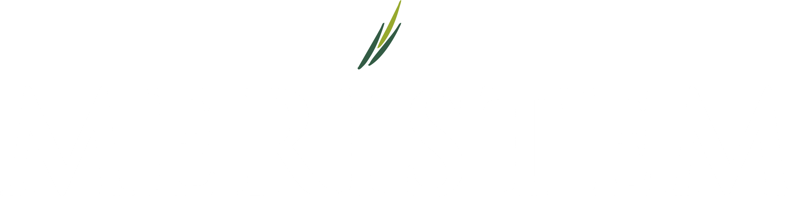 Meristem Logo